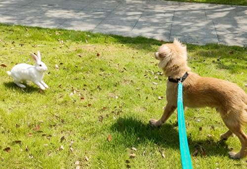 Bungee Dog Leash- 5FT Shock Absorbing & Reflective Nylon Leash | Anti-Pull Training for Small/Medium Dogs | 2cm Wide, 6 Colors (Green) - color: Green