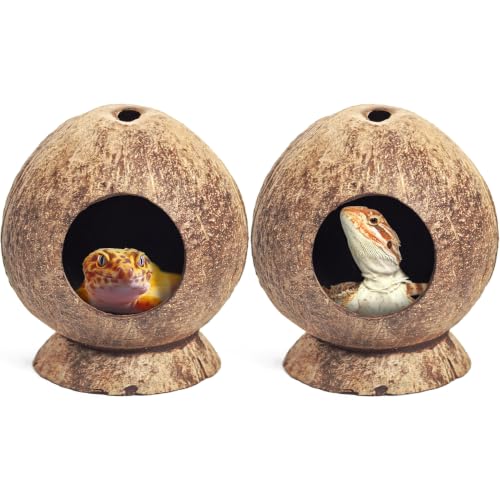 PINVNBY 2 Pcs Natural Coconut Shell Reptile Hideouts Crested Gecko Tank Accessories for Small Lizard Leopard Gecko Spider Snail Hermit Crab Hideout - size: High-Crowned Style, 2PCS