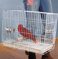 Large Portable Durable Metal Travel or Veterinary Easy Collapsable Parrot Bird Carrier Bite-Proof Carrier Cage Easy Clean Pull Out Tray Stainless Steel Feeder Bowls Natural Wooden Perch - color: White