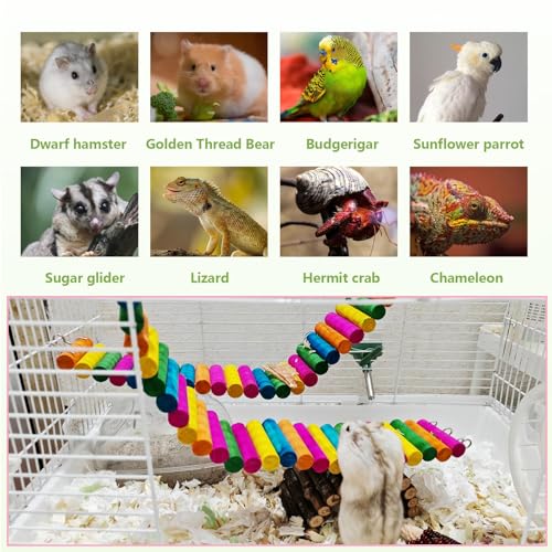 2-Pack Hamster Bridge 15.7 x 2.4 Inch Colorful Flexible Bendy Climbing Ladder Hanging Wooden Stairs Chew Toy for Bird Parrot Chipmunk Sugar Glider Gerbil Mice