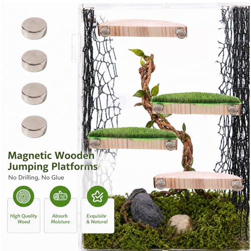 2 in 1 Jumping Spider Enclosure Accessories - Magnetic Feeding Dish with Jumping Wood Ledges | Acrylic Water Bowl Food Dish Habitat Decor for Tarantula Small Spider Reptile