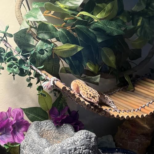 Reptile Climbing Bridge, Bamboo Lizard Ladder Bridge Bearded Dragon Hammock Lizard Lounger Hanging Terrarium Vines Decor Reptiles Habitat Tank Accessories for Gecko Chameleon(4PCS) - style: L【15.6 x 6.1 In】