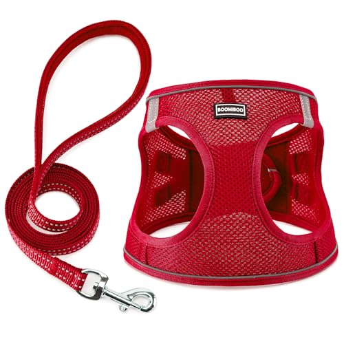 Dog Harness with Leash Set, Step-in Adjustable Puppy Pet Vest, Red XXS | Lightweight Breathable Air Mesh, Night Safety Reflective, No Pull Puppy Vest Harnesses for Small Medium Large Dogs, Cats - color: Red, size: XXS(Chest:10"-12")