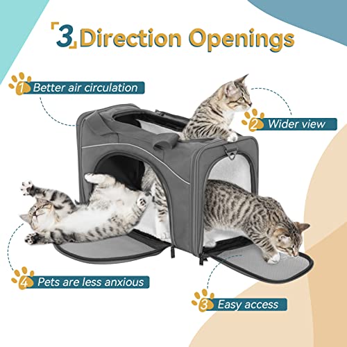 ‌Petsfit Airline Approved Pet Carrier for Small Dogs & Cats, 19x9x12 TSA Approved Carrier, with Removable Dual-Sided Padding (2-Way Placement) - Fits Under Most Airplane Seats, Escape Proof (Grey) - color: Grey, size: 19"L x 9.5"W x 12.0"H