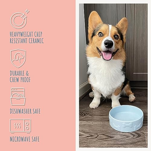 Manor Small Ceramic Pet Bowl, 2-Cup Lightweight Food & Water Dish for Cats, Dogs & Rabbits, Azure - color: Azure, size: Small