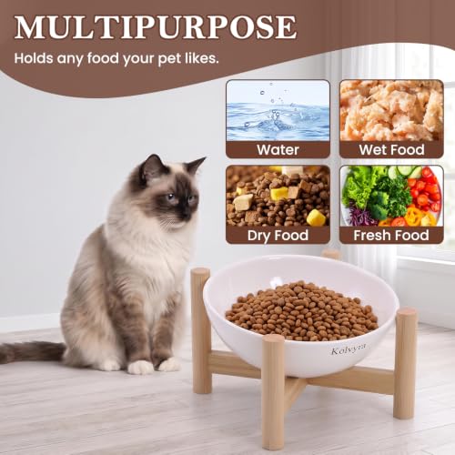 15° Slanted Rim Ceramic Cat Bowl, Anti-Spill for Small Cats,White | Food-safe Ceramic with Wooden Stand,Ergonomic Tilt Relieves Neck Strain,Anti-Vomiting,Prevents Whisker Fatigue - color: White