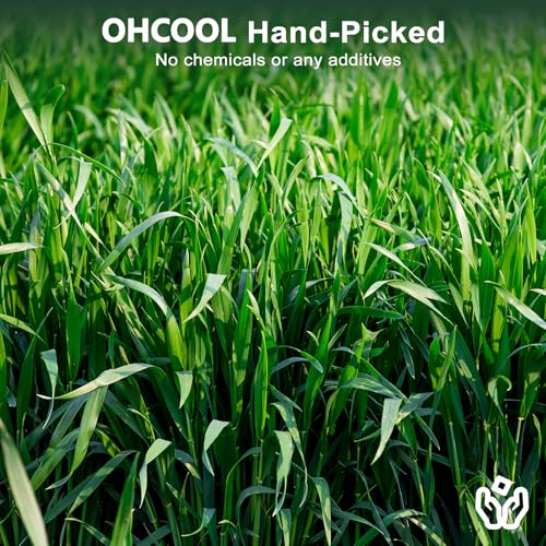 Premium Oat Hay, 1.1LB Small Pet Feed | Premium dust free natural green oat hay, suitable for rabbits, guinea pigs, chinchillas, hamsters, gerbils - size: 1.1 Pound (Pack of 1)