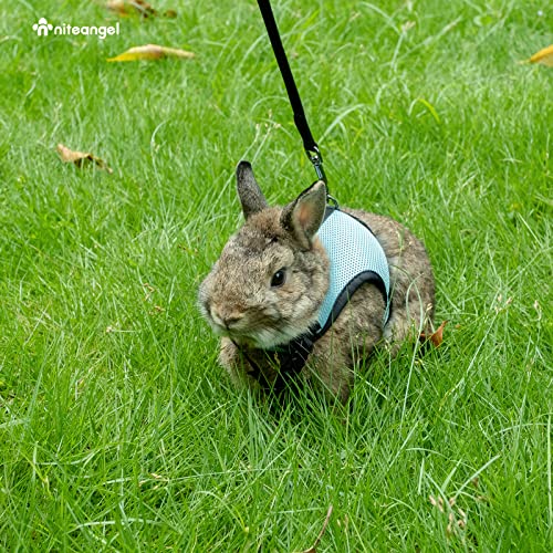 Niteangel Adjustable Soft Harness with Elastic Leash for Rabbits (M, Blue) - color: Blue, size: M