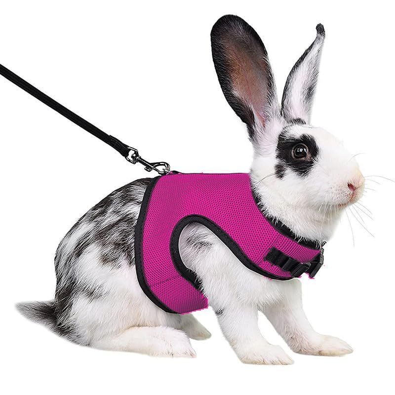 Bunny Harness and Leash Escape Proof Soft Mesh Rabbit Leash and Harness Set | Breathable Mesh Prevents Overheating, Dual Adjustable Tape Quick Buckle Anti-escape, For Rabbits Ferret and Small Animals - color: Hot Pink, size: M(Chest 7.1–9.8 in)Small Rabbi