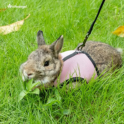 Niteangel Adjustable Soft Harness with Elastic Leash for Rabbits (M, Pink) - color: Pink, size: M