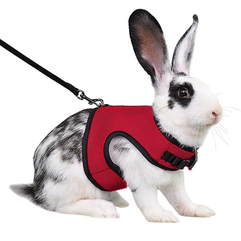 Rabbit Harness and Leash Escape Proof Soft Mesh Bunny Leash and Harness Set | Red, Breathable Mesh Prevents Overheating,Dual Adjustable Tape Quick Buckle Anti-escape,For Rabbits Ferret and Small Animals - color: Red, size: M(Chest 7.1–9.8 in)Small Rabbit,