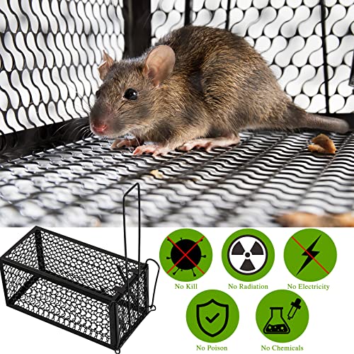Qualirey 2 Pcs Humane Rat Trap Chipmunk Rodent Mouse Squirrel Trap,Black | 9.1 x 4.5 x 4.5 Inches Mouse Voles Hamsters Cage Rat Cage for Mice Easy to Catch and Release - color: Black