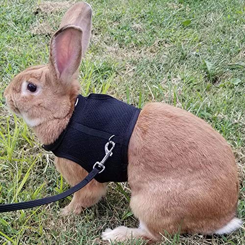 PETTOM Bunny Rabbit Harness with Stretchy Leash Cute Adjustable Buckle Breathable Mesh Vest for Kitten Small Pets Walking (Black,L) - color: Black, size: L(Chest:10.6-13.3 in)