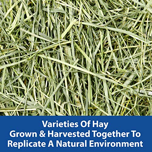 Kaytee All Natural Timothy Hay Wild Meadow Hay Blend for Guinea Pigs, Rabbits & Other Small Animals, 24 Ounce - size: 1.5 Pound (Pack of 1)