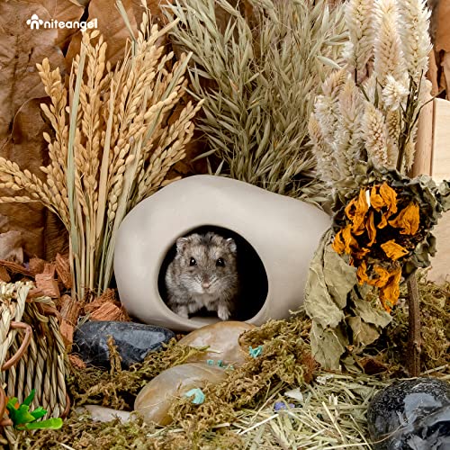 Niteangel Ceramic Hamster Habitat Hideout: Stone-Shaped & Non-Chewable | Cozy Hidey Spot & Easy to Clean - Hideaway House for Syrian Dwarf Hamster Mice Gerbils Lemmings or Other Small Pet