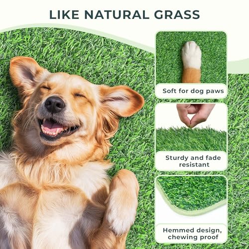 BurgeonNest Dog Grass Pad with Tray 35"x24", 3-Layer System with EVA Tray | Includes Reusable Artificial Grass, Absorbent Washable Pee Pad, Foldable Tray for Balcony, Apartment & Indoor/Outdoor Use - size: L-35''x24''