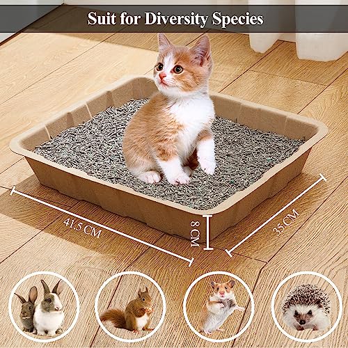 Vealind Disposable Litter Boxes for Cats Cardboard Cat Litter Trays Cat Travel Toilet Litter Pan Liners Kitty and Small Animals Leakproof Litter Box (10 Pack) - color: 10 PACK