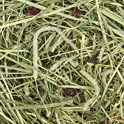 Kaytee All Natural Timothy Hay Plus Cranberries for Guinea Pigs, Rabbits & Other Small Animals, 24 Ounce (Pack of 2) - size: 1.5 Pound (Pack of 2)