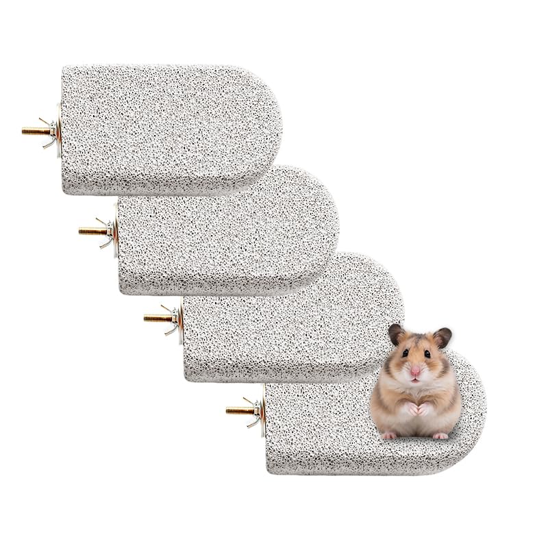 4PCS Lava Ledge for Small Pets/Chinchilla/Hamster/Parrot, Gray(L) | Grinding Claws & Jumping, Safe Natural Volcanic Rock, Reduces Random Chewing - color: Grey, size: L