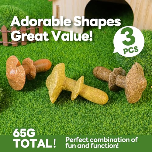 TEEWY 3PCS Guinea Pig Chew Toys, Prevent Teeth Overgrowth, Natural Timothy Grass & Vegetables, Hamster Chew Toys, Guinea Pig Toys, Chinchilla Toys, Mushroom-Shaped - style: 3PCS-Mushrooms