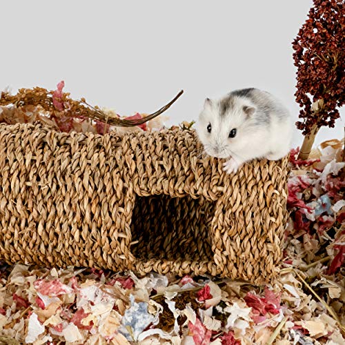 Niteangel Creative & Composable Hamster Tunnel: Edible Seagrass & DIY Tube | Mimic Wild Underground Habitat & Build Unique Burrow as Hideout for Small Sized Animals Like Hamsters Mouse Gerbils Mice - size: HC