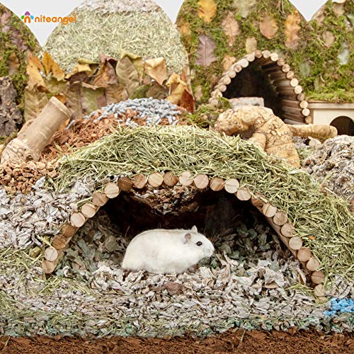 Niteangel Small Animal Climbing Toy: 15.7" x 7.8" Bendable & Flexible Shape | Underground Hideout & Dome Shelter - Suspension Bridge Ladder for Hamsters Gerbils Mice Rats Guinea Pigs or Other Small Pets - size: 15.7'' x 7.8''