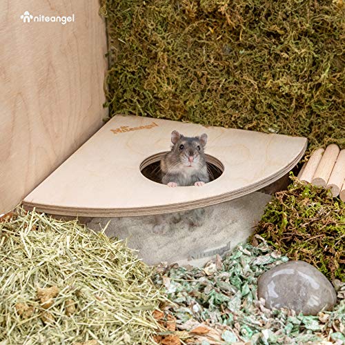 Niteangel Animal Sand-Bath Box: - Acrylic Critter's Sand Bath Shower Room & Digging Sand Container for Hamsters Mice Lemming Gerbils or Other Small Pets (Triangle, Birch-Wood) | Acrylic Viewable Critter Sand Bath Shower Room & Digging Sand Container for H