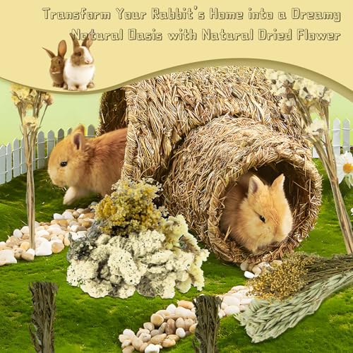 Sukh 47pcs Hamster Sprays - Natural Flower Herb Bedding Forage Mix for Cage | Sprays for Hamster Cage Accessories, Bedding Decor, Habitat Enrichment for Dwarf Syrian Hamsters, Gerbils, Mice, Small Pets