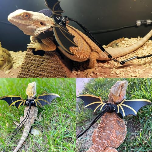 Bearded Dragon Carrier with Harness and Leash Small Pet Carrier | Large Reptile Backpack Bubble Window Portable Small Animal Carrier for Lizard Parrot Bird Rabbit Guinea Pig Travel Walking - color: Bearded Dragon Carrier