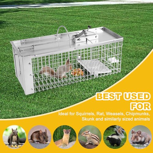 Squirrel Trap Live Animal Humane Cage Trap Catch Rats, Mice, Chipmunk, Weasel and Other Rodents for Indoor and Outdoor