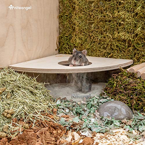 Niteangel Animal Sand-Bath Box: - Acrylic Critter's Sand Bath Shower Room & Digging Sand Container for Hamsters Mice Lemming Gerbils or Other Small Pets (Triangle, Birch-Wood) | Acrylic Viewable Critter Sand Bath Shower Room & Digging Sand Container for H