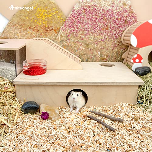 Niteangel Multi-Chamber Hamster House Maze: 2 Entrance 6 Rooms Maze Habitat | No-Disturb Removable Lid - Encourage Pets Hide and Explore Freely Hideout & Tunnel Maze Toys for Hamster Gerbils Mice Lemming - size: 6-Room Small