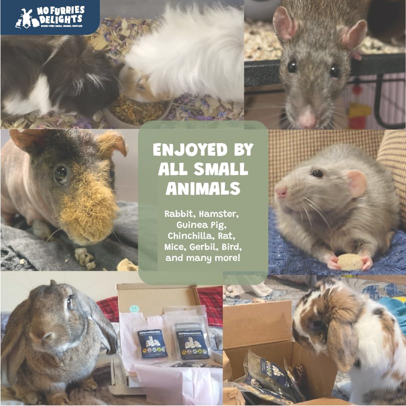 100% All Natural Treat for Rabbit Hamster Guinea Pig Chinchilla Pet Rat Mice, 15pcs Mini Donuts Variety Pack (30g)