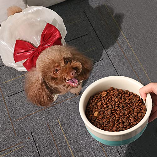 Sweejar Ceramic Dog Bowls, Dog Food Dish for Small Dogs and Cat, Heavy Duty Porcelain Pet Bowl for Canned Food and Water 17 Fl Oz （Fog Blue） - color: Fog Blue, style: Two-tone,5.5"x 2.2"(16 Fl Oz)