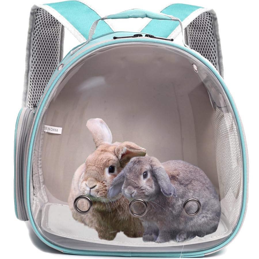 Guinea Pig Carrier Backpack with Soft Warm Mat Set,Lizard Backpack Carrier,Space Capsule Clear Bubble Window Astronaut Reptile Carrier Backpack for Bearded Dragon,Sugar Glider,Bunny - color: Green