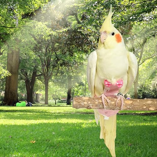 2Pcs Bird Diapers Bird Harness Flight Suits Diapers with 80 Inch Flying Leash Parrot Nappy Washable Cute Urine Wet Suit for Cockatiel Conure Macaw Budgies Parakeet-Rabbit&Kitten,M - size: M