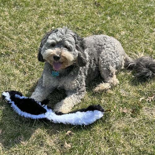 SPOT Skinneeez Skunk 23-Inch Stuffing-Free Plush Dog Toy – Realistic Design with 2 Squeakers – Durable, Soft Polyester for Medium & Large Dogs – Tug, Fetch & Shake Play – for Moderate Chewers - style: Skunk