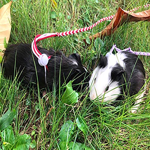 Zittop 1PC Small Animal Leash Lead Harness Rope Hamster Rat Mouse Adjustable Rope