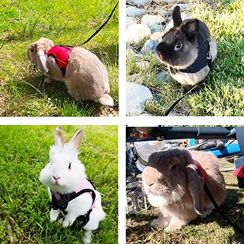 PETTOM Bunny Rabbit Harness with Stretchy Leash Cute Adjustable Buckle Breathable Mesh Vest for Kitten Small Pets Walking (Black,L) - color: Black, size: L(Chest:10.6-13.3 in)