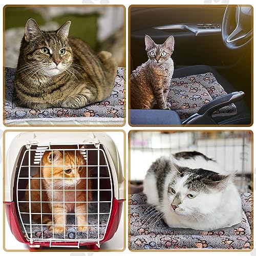 4 Pack Ultra Soft Dog Cat Bed Mat Small Animal Guinea Pig Bed with Cute Print Reversible Fleece Dog Crate Kennel Pad Cozy Washable Thickened Hamster Pet Beds Mat(13 x 19 Inches,Gray) - color: Gray, size: 13 x 19 Inches