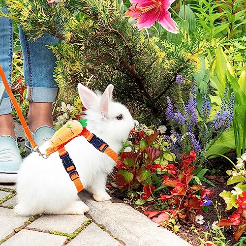Bunny Harness and Leash for Rabbits,2 Pack Adjustable Bunny Harness,Cute Vest Harness and Leash Set, for Rabbit,Kitten, Puppy, Pig and Small Pet Animals