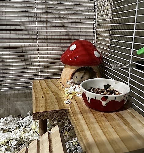YZHZOM Ceramic Hamster Hideout - Small Animal Houses & Habitats for Mice, Gerbils, Lemmings or Other Small Pets - Accessories