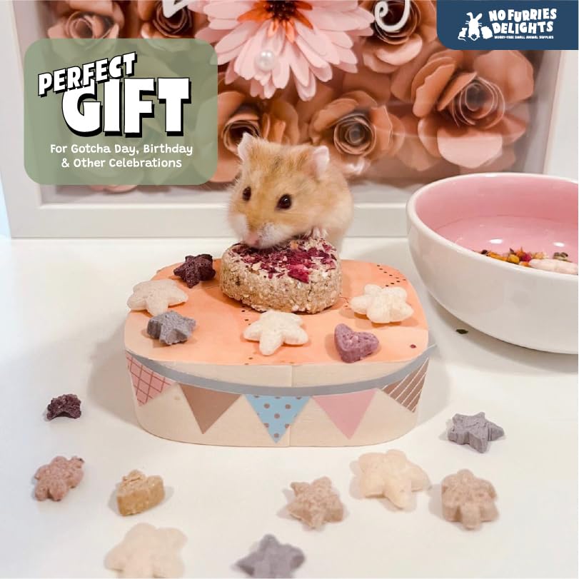 100% All Natural Treat for Rabbit Hamster Guinea Pig Chinchilla Pet Rat Mice, 15pcs Mini Donuts Variety Pack (30g)