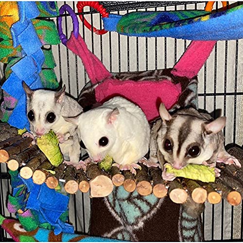 Flex Bridge (Small) - Bendable Natural Wooden Suspension Bridge Cage Accessory Climbing Toy - Sugar Gliders, Rats, Chinchillas, Ferrets, Parrots, Birds, Hamsters, Hedgehogs, Guinea Pigs, Monkeys - size: Small