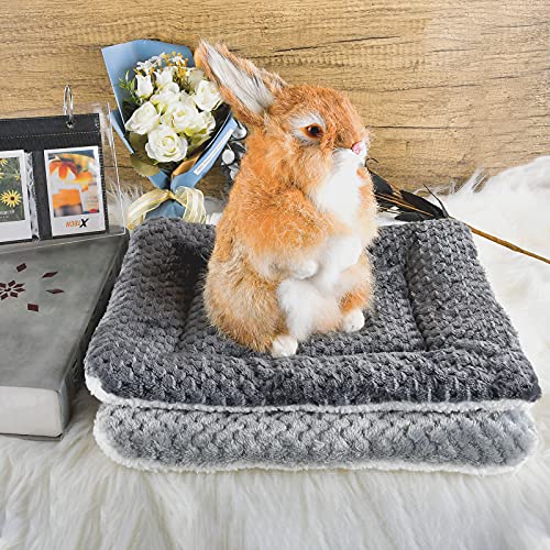 Small Animal Bed Mat, Soft & Warm, Suitable for Guinea Pig, Hamster, Rabbit, Rat and Bearded Dragon (X-Large(13.3''x9.4''), Star Pink) - color: Star Pink, size: X-Large(13.3''x9.4'')