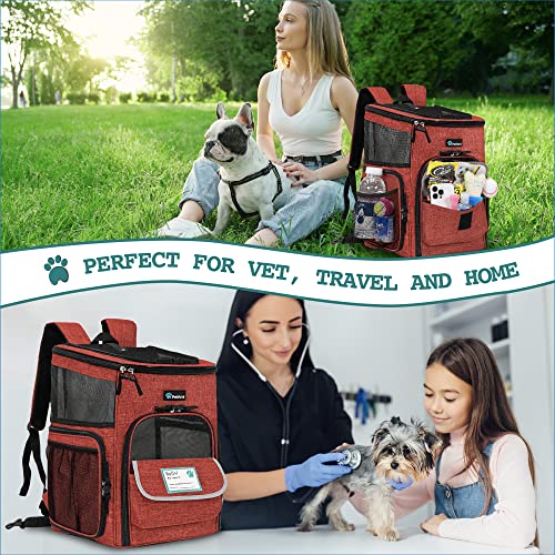 PetAmi Dog Backpack Carrier, Airline Approved 4-Way Entry Cat Backpack Carrier, Ventilated Mesh, Collapsible Pet Carrier for Small Puppy, Kitten, Hiking, Travel Car, Vet, up to 18 lbs, Red - color: Red