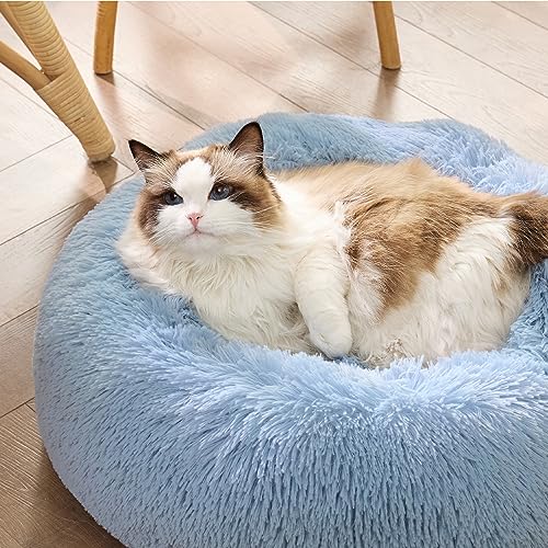 Bedsure Calming Cat Beds Donut Round Washable Kitten Bed,20 inches | Fluffy Faux Fur Cuddler,Anti-Slip Bottom,Anti-Anxiety,Deep Sleeping for Cats&Small Pets Up to 15 Lbs,Light Blue - color: Light Blue, size: 20"L x 20"W x 6"Th