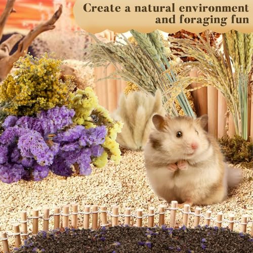 Sukh 60PCS Hamster Sprays - Natural Flower Herb Bedding & Habitat Decor | Natural Grain and Herb Sprays for Syrian & Dwarf Hamsters, Gerbils, Rabbits and Small Pets, for Foraging and Cage Enrichment
