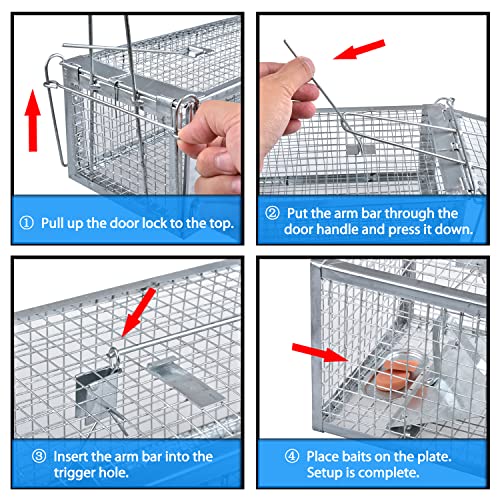 2-Pack Live Chipmunk Traps Humane Vole Hamster Mouse Rat Cage Traps | Catch and Release, For Indoor and Outdoor Use - color: Silver