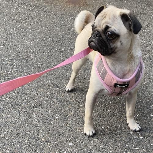 PUPTECK Soft Mesh Dog Harness and Leash Set Pet Puppy Cat Comfort Padded Vest No Pull Harnesses, Light Pink, S - color: Light pink, size: S (NECK: 12", CHEST: 14"-18")